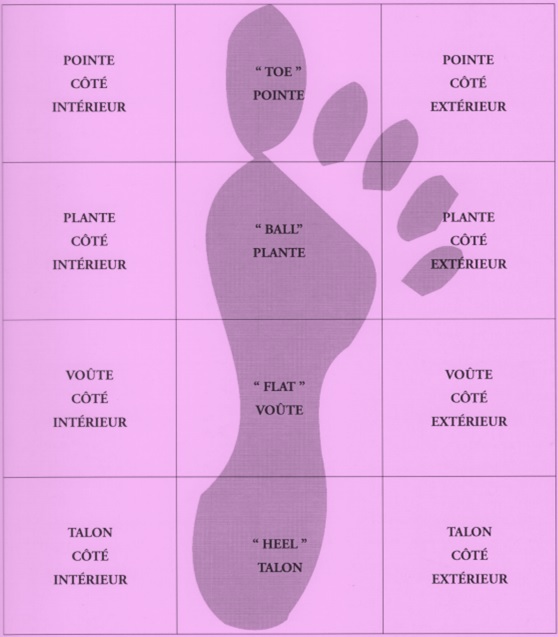 Parties pieds